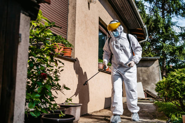 Best Bed Bug Extermination  in Granite Falls, NC