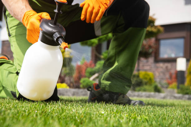 Best Spider Control Near Me  in Granite Falls, NC