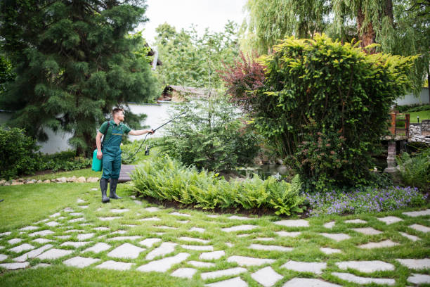 Best Affordable Pest Control Services  in Granite Falls, NC