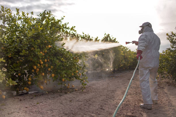 Best Pest Prevention Services  in Granite Falls, NC