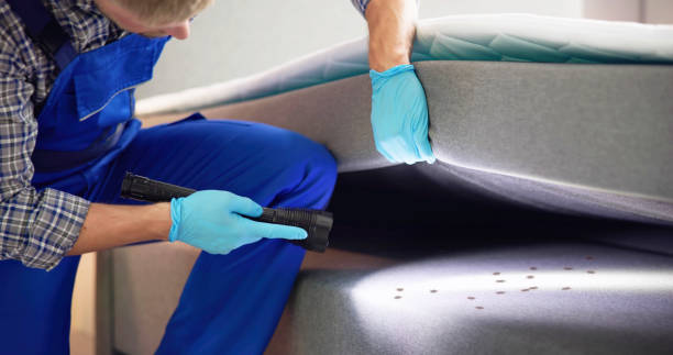 Best Pest Control Near Me  in Granite Falls, NC
