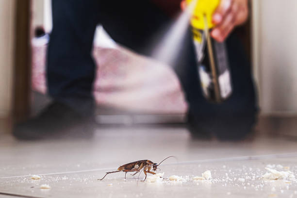 Best Pest Control for Restaurants  in Granite Falls, NC