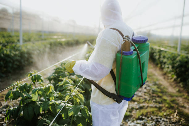 Professional Pest Control in Granite Falls, NC